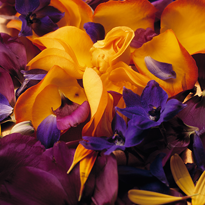 fragrant