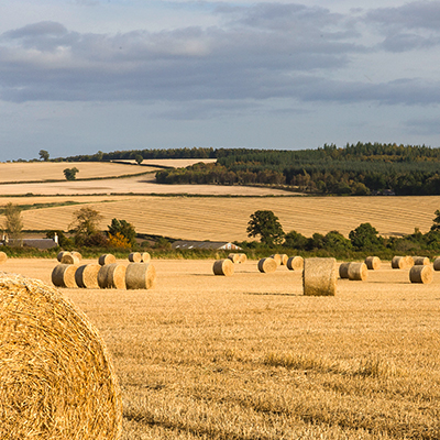 guide-to-whisky-flavour-module-04-triple-content-block-whisky-regions-lowlands-landscapes